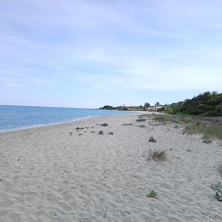 Terres De France - Les Hauts Du Maquis Linguizzetta Exteriör bild
